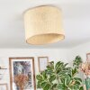 Sabadim Plafones beige, Crudo, 1 luz