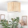 Bongal Plafones beige, Crudo, 1 luz