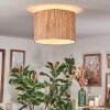 Bongal Plafones beige, Crudo, 1 luz