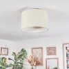 Bassagoda Plafones beige, Blanca, 1 luz