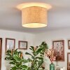 Bassagoda Plafones beige, Blanca, 1 luz