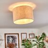 Bassagoda Plafones beige, Blanca, 1 luz