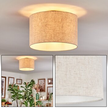 Bassagoda Plafones beige, Blanca, 1 luz
