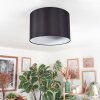 Soungou Plafones Negro, Blanca, 1 luz