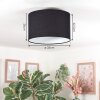 Bassagoda Plafones Negro, Blanca, 1 luz