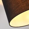Bassagoda Plafones Negro, Blanca, 1 luz