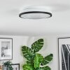 Onara Plafones, Panel LED Negro, Blanca, 1 luz