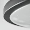 Onara Plafones, Panel LED Negro, Blanca, 1 luz