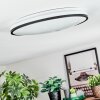 Onara Plafones, Panel LED Negro, Blanca, 1 luz