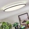 Onara Plafones, Panel LED Negro, Blanca, 1 luz