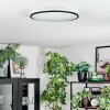 Onara Plafones, Panel LED Negro, Blanca, 1 luz