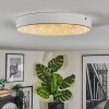 Elmar Plafones, Panel LED Blanca, 1 luz