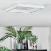 Xarel Plafones, Panel LED Blanca, 1 luz