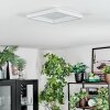 Xarel Plafones, Panel LED Blanca, 1 luz