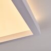 Xarel Plafones, Panel LED Blanca, 1 luz