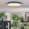Elmar Plafones, Panel LED Negro, 1 luz