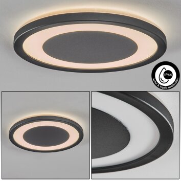 Gelan Plafones, Panel, Apliques LED Negro, Blanca, 1 luz