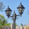 Naofe Candelabro, Iluminación de caminos Negro, 2 luces