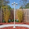 Naofe Candelabro, Iluminación de caminos Blanca, 3 luces