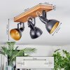 Hagan Plafones, Spot techo Crudo, Negro, 3 luces