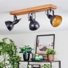 Hagan Plafones, Spot techo Crudo, Negro, 3 luces