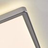 Simonstorp Plafones, Panel LED Plata, Blanca, 1 luz