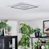 Simonstorp Plafones, Panel LED Plata, Blanca, 1 luz