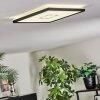 Simonstorp Plafones, Panel LED Negro, Blanca, 1 luz