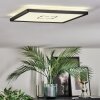 Simonstorp Plafones, Panel LED Negro, Blanca, 1 luz