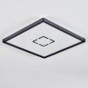 Simonstorp Plafones, Panel LED Negro, Blanca, 1 luz
