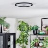 Simonstorp Plafones, Panel LED Negro, Blanca, 1 luz