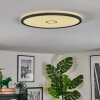 Simonstorp Plafones, Panel LED Negro, Blanca, 1 luz