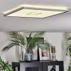 Simonstorp Plafones, Panel LED Plata, Blanca, 1 luz