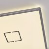 Simonstorp Plafones, Panel LED Plata, Blanca, 1 luz
