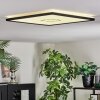 Simonstorp Plafones, Panel LED Negro, Blanca, 1 luz