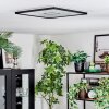 Simonstorp Plafones, Panel LED Negro, Blanca, 1 luz