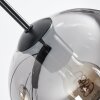 Koyoto Lámparas suspendidas, Luminarias esféricas, Lámparas colgantes Colores ámbar, Transparente, Ahumado, 8 luces