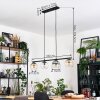 Koyoto Lámparas suspendidas, Luminarias esféricas, Lámparas colgantes Colores ámbar, Transparente, Ahumado, 4 luces