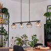 Koyoto Lámparas suspendidas, Luminarias esféricas, Lámparas colgantes Colores ámbar, Transparente, Ahumado, 4 luces