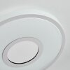 Loron Plafones, Panel LED Plata, Blanca, 1 luz