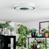 Loron Plafones, Panel LED Plata, Blanca, 1 luz