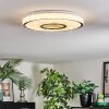 Loron Plafones, Panel LED Plata, Blanca, 1 luz