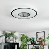 Loron Plafones, Panel LED Plata, Blanca, 1 luz