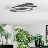 Lidor Plafones LED Negro, Plata, 1 luz