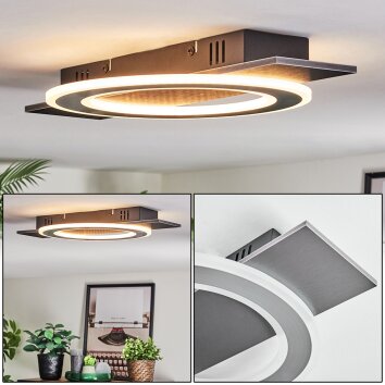 Lidor Plafones LED Negro, Plata, 1 luz