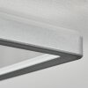 Simonstorp Plafones, Panel LED Plata, Blanca, 1 luz