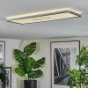 Simonstorp Plafones, Panel LED Plata, Blanca, 1 luz