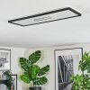 Simonstorp Plafones, Panel LED Negro, Blanca, 1 luz