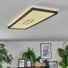 Simonstorp Plafones, Panel LED Negro, Blanca, 1 luz