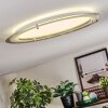 Ipres Plafones, Panel LED Plata, Blanca, 1 luz